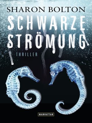 cover image of Schwarze Strömung--Lacey Flint 4